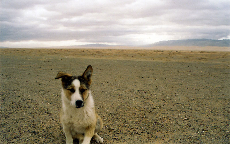 Mongolie